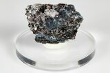 Blue Kyanite & Garnet in Biotite-Quartz Schist - Russia #178927-1